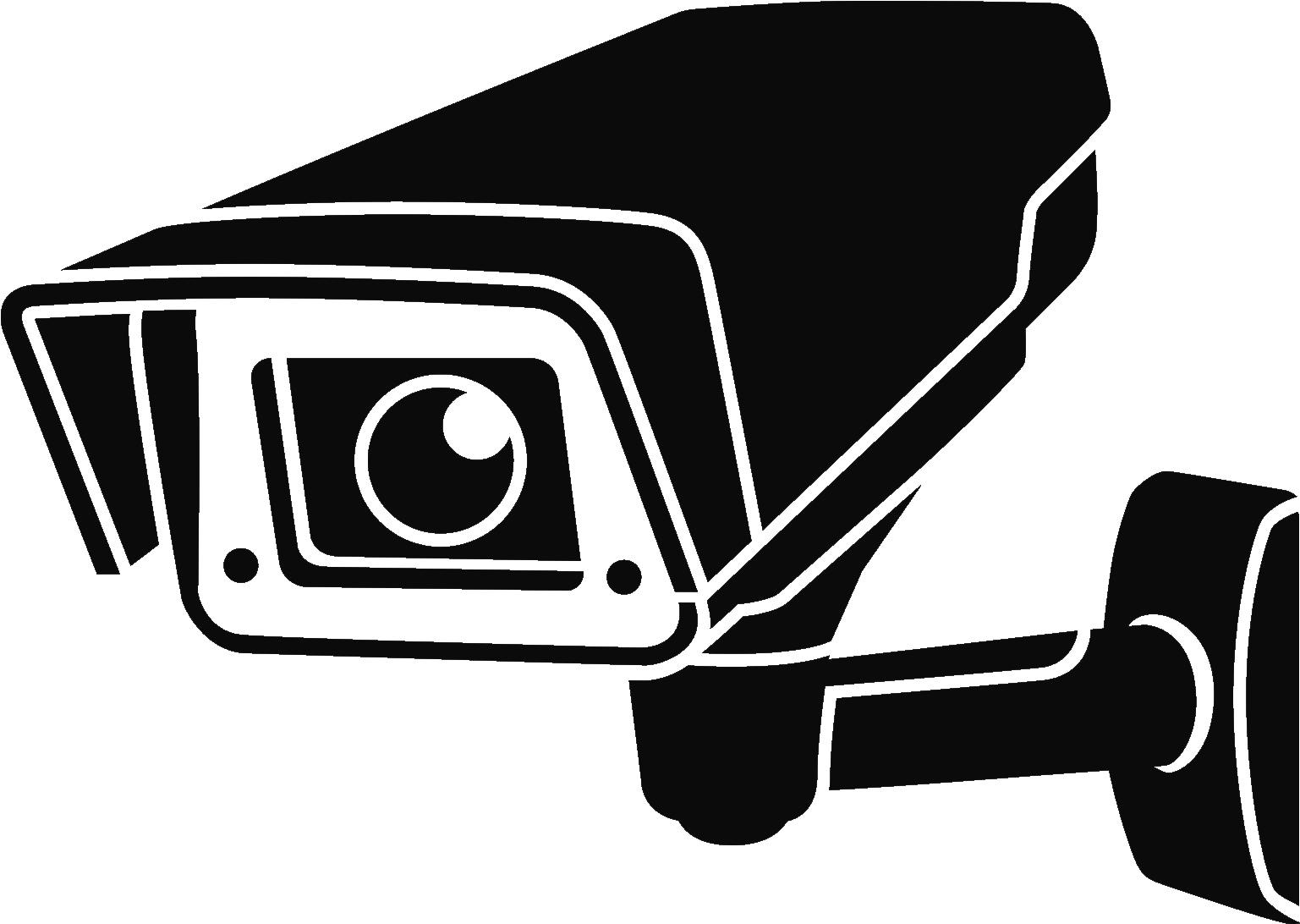 Security camera icon representing surveillance and security services